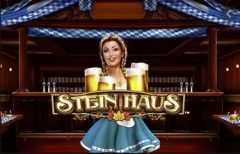 Slots - Novomatic Steinhaus