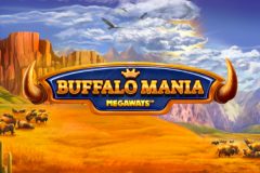 Slots - Buffalo Mania Megaways - Online Gokkast Review