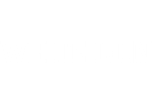 WhiteLion Bets Online Casino Review